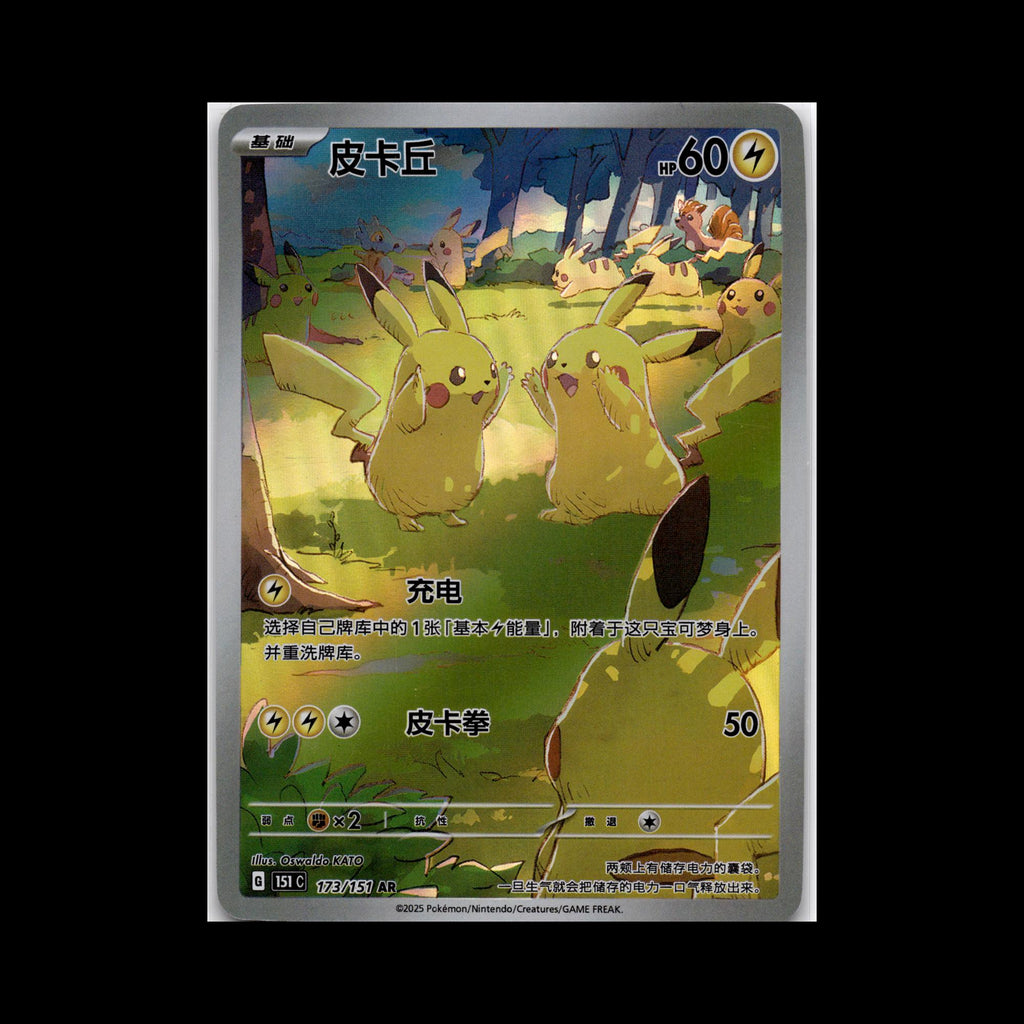 Chinese Pokemon 151 Pikachu AR Complete Art Rare Set 171 172 173