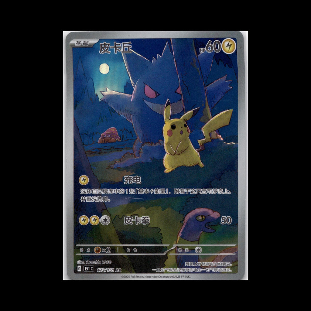 Chinese Pokemon 151 Pikachu AR Complete Art Rare Set 171 172 173