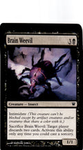 Brain Weevil