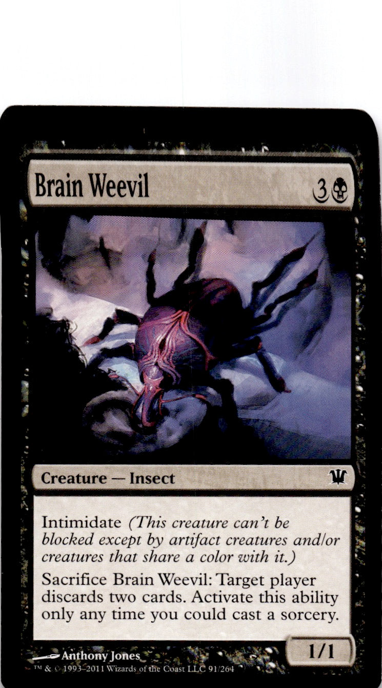 Brain Weevil