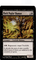 Black Poplar Shaman