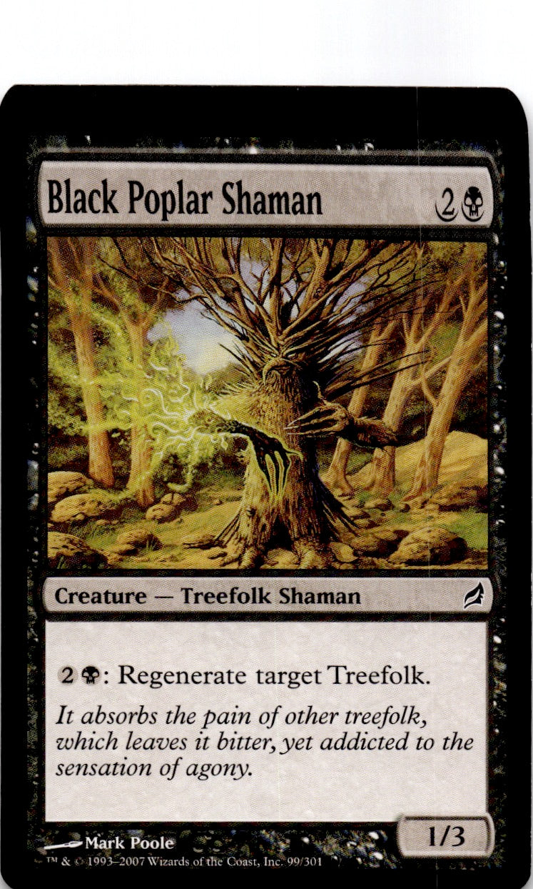 Black Poplar Shaman