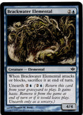 Brackwater Elemental