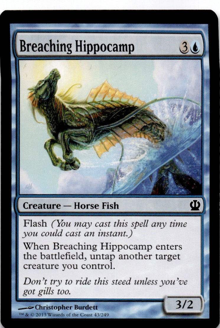 Breaching Hippocamp