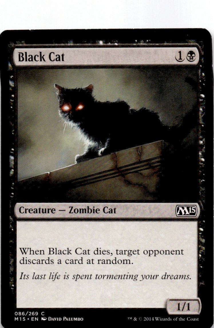 Black Cat