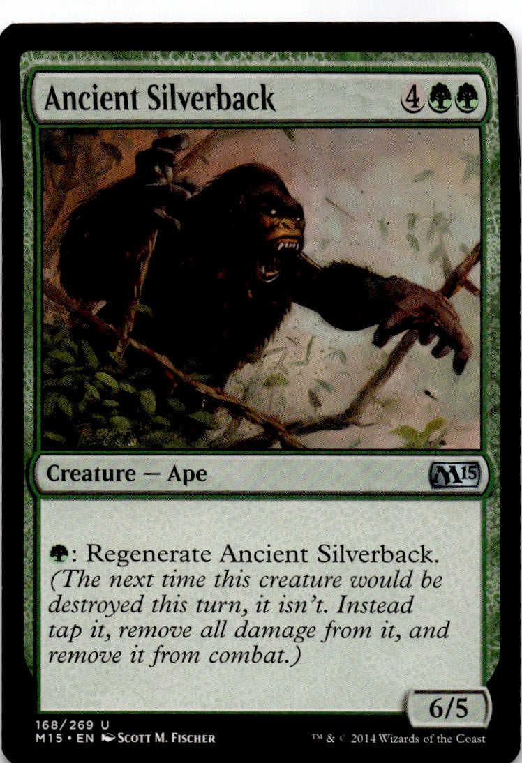 Ancient Silverback