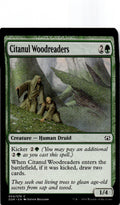 Citanul Woodreaders