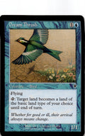 Dream Thrush