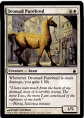 Dromad Purebred