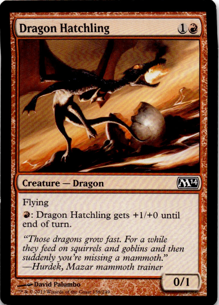 Dragon Hatchling