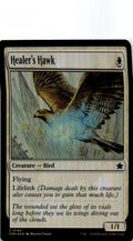 Healer's Hawk