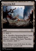 Spawning Bed