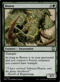 Brawn