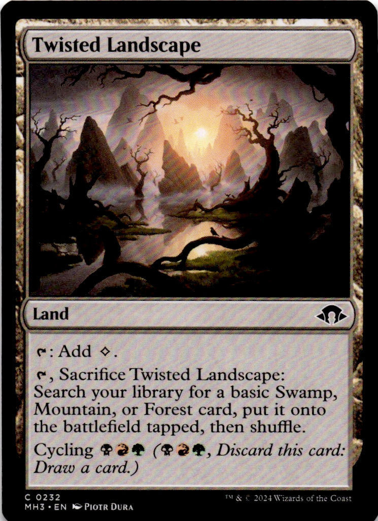 Twisted Landscape