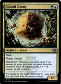 Cuboid Colony