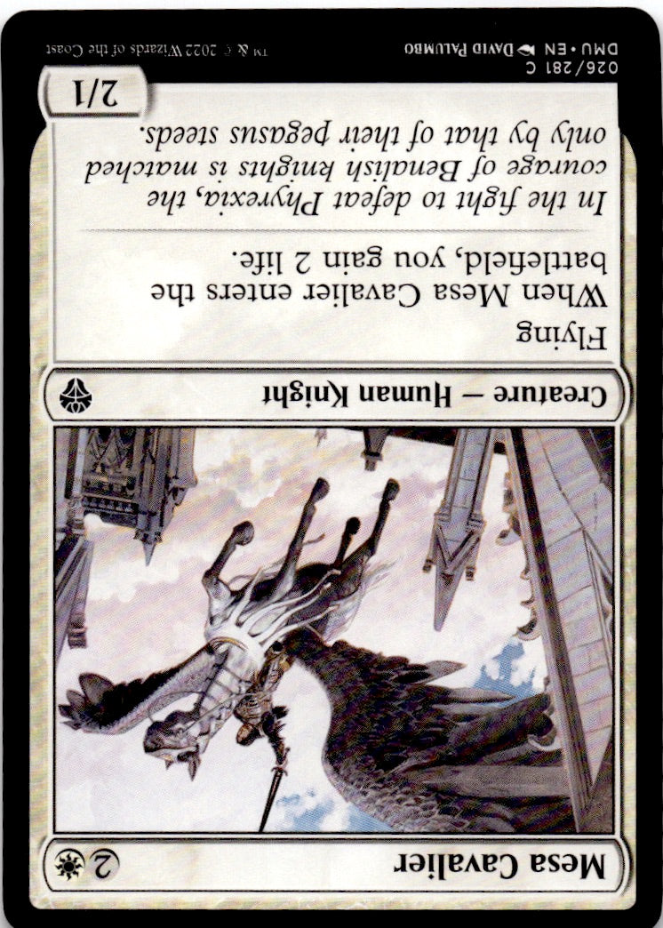 Mesa Cavalier
